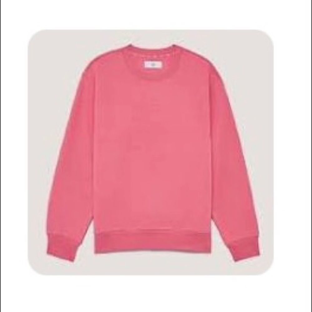 Aritzia Tna Sweatshirt Palm Pink Size 2